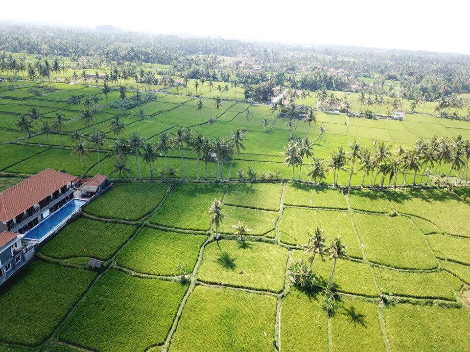 The Sawah Resort & Villa Убуд Экстерьер фото